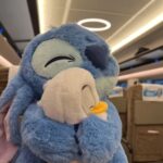 ⁦1Pc Random - Soft Toy Stitch With Toy - Size 25 Cm⁩ - الصورة ⁦10⁩
