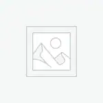 عنصر نائب Placeholder